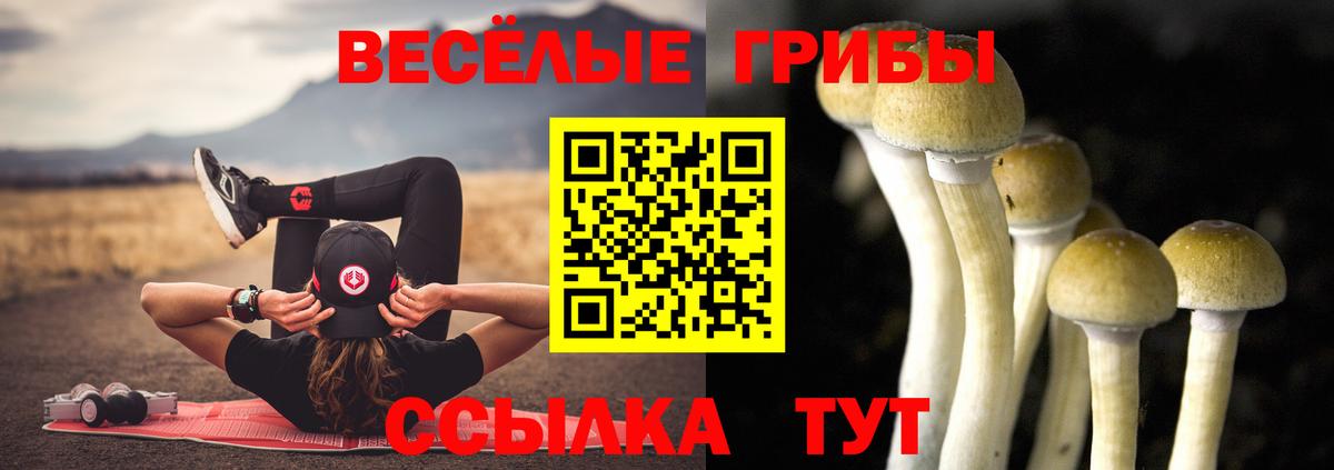 Осинники  Галлюциногенные грибы мухоморы  Вход с VPN 