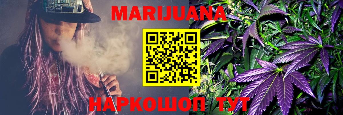 Бошки марихуана сатива  Конопля планчик  Осинники  Вход с VPN  Шишки марихуана конопля 